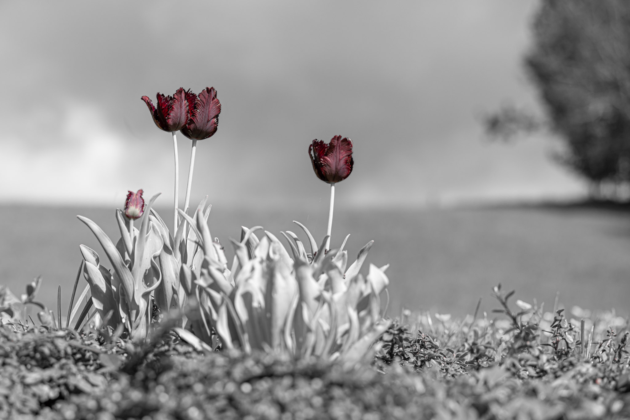 011