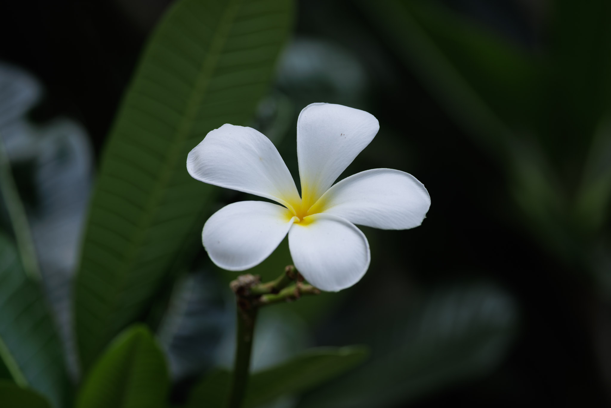 053